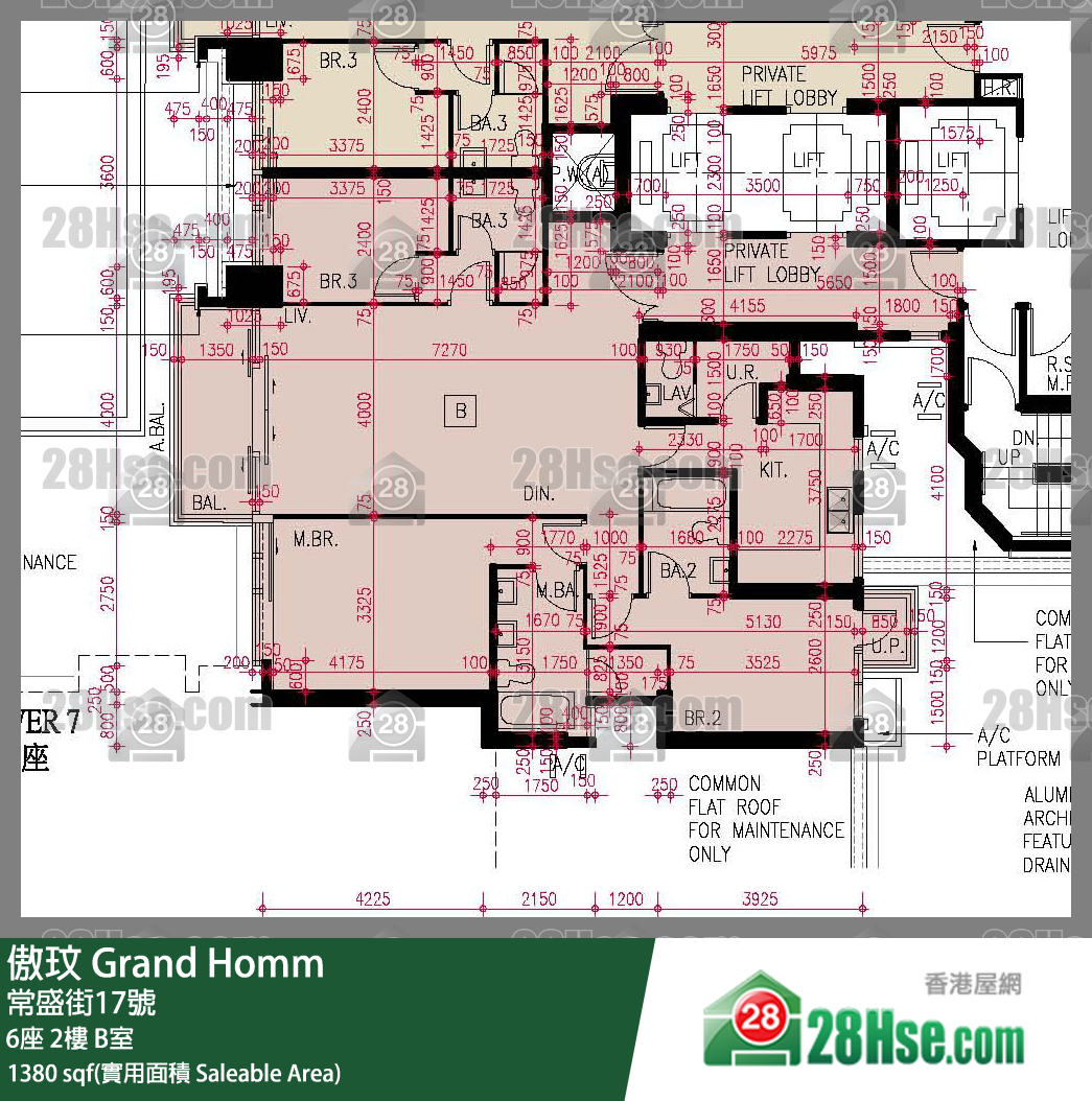 Grand Homm Unit FloorPlan (Provided by 28Hse)