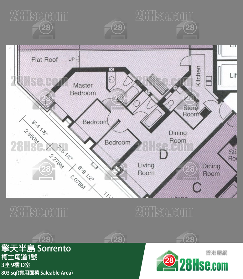 擎天半島 3座9樓 D室 平面圖