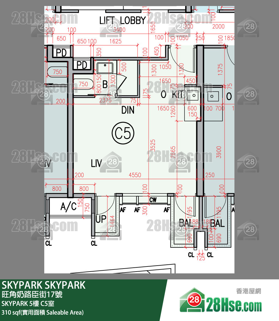 SKYPARK SKYPARK 5楼 C5室 平面图