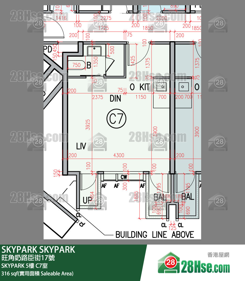 SKYPARK SKYPARK5樓 C7室 平面圖