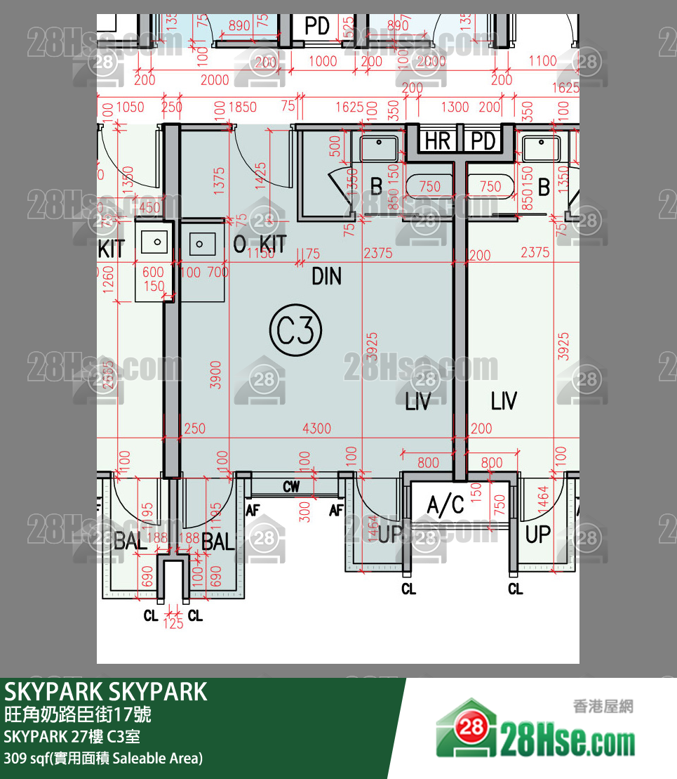 SKYPARK SKYPARK27楼 C3室 平面图