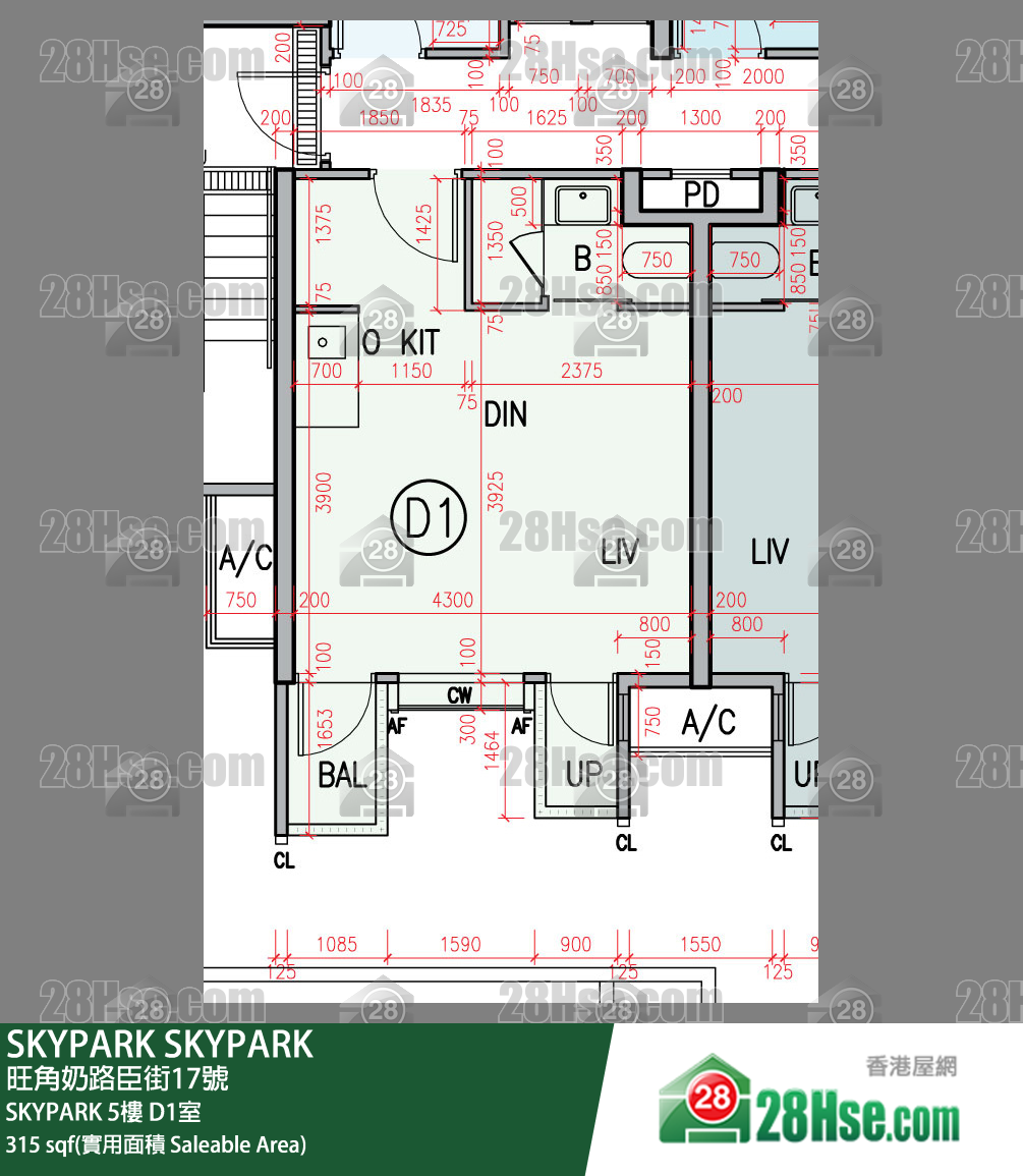 SKYPARK SKYPARK5楼 D1室 平面图