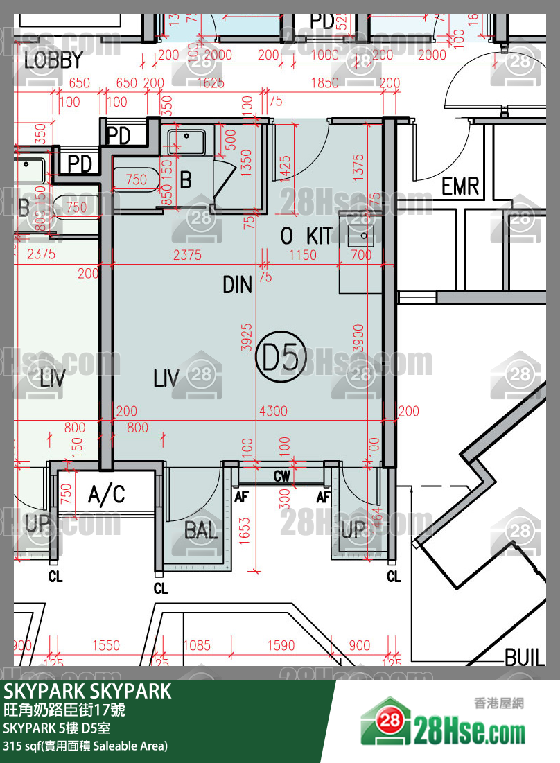 SKYPARK SKYPARK5楼 D5室 平面图
