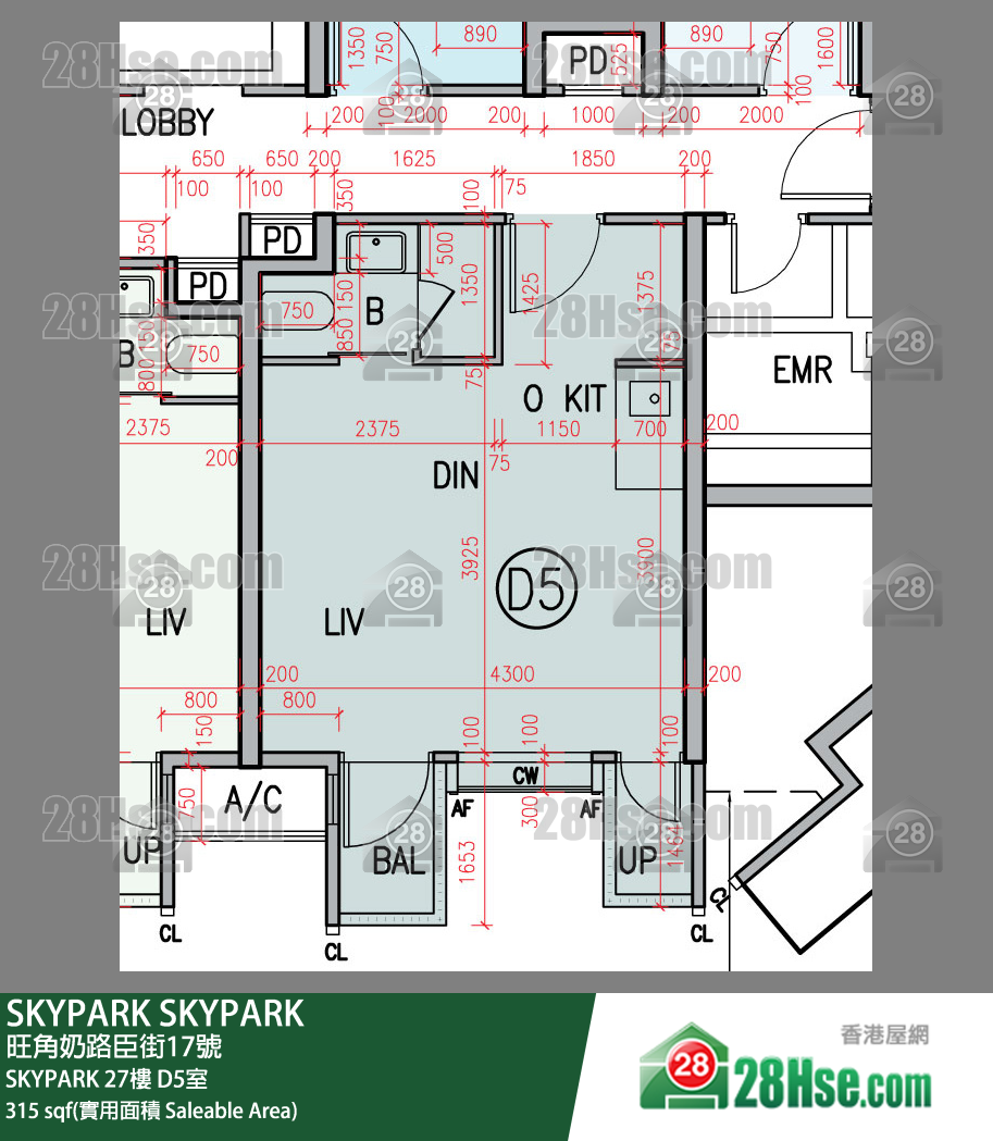 SKYPARK SKYPARK 27楼 D5室 平面图