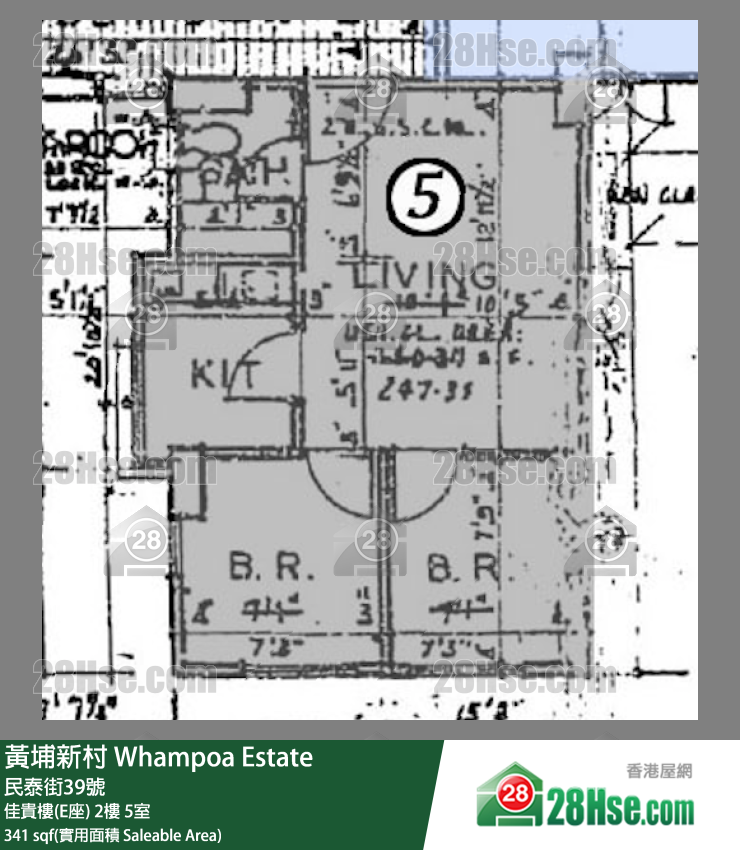 黃埔新村 佳貴樓(E座)2樓 5室 平面圖