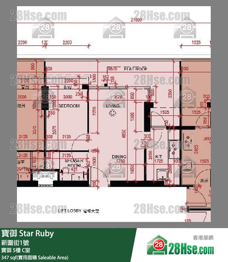 Star Ruby,  Flat C, 5/f, Star Ruby FloorPlan