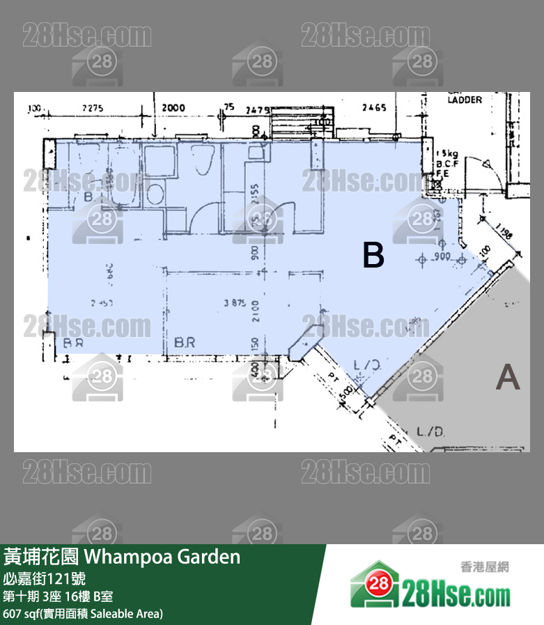 黃埔花園 第十期3座16樓 B室 平面圖