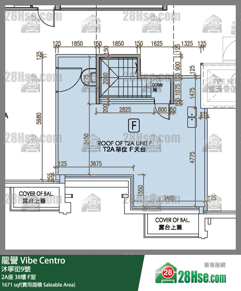 龍譽 2A座 38樓 F室 平面圖