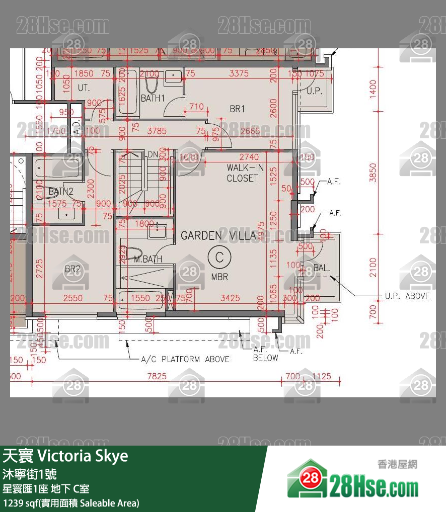 天寰 星寰匯1座地下 C室 平面圖
