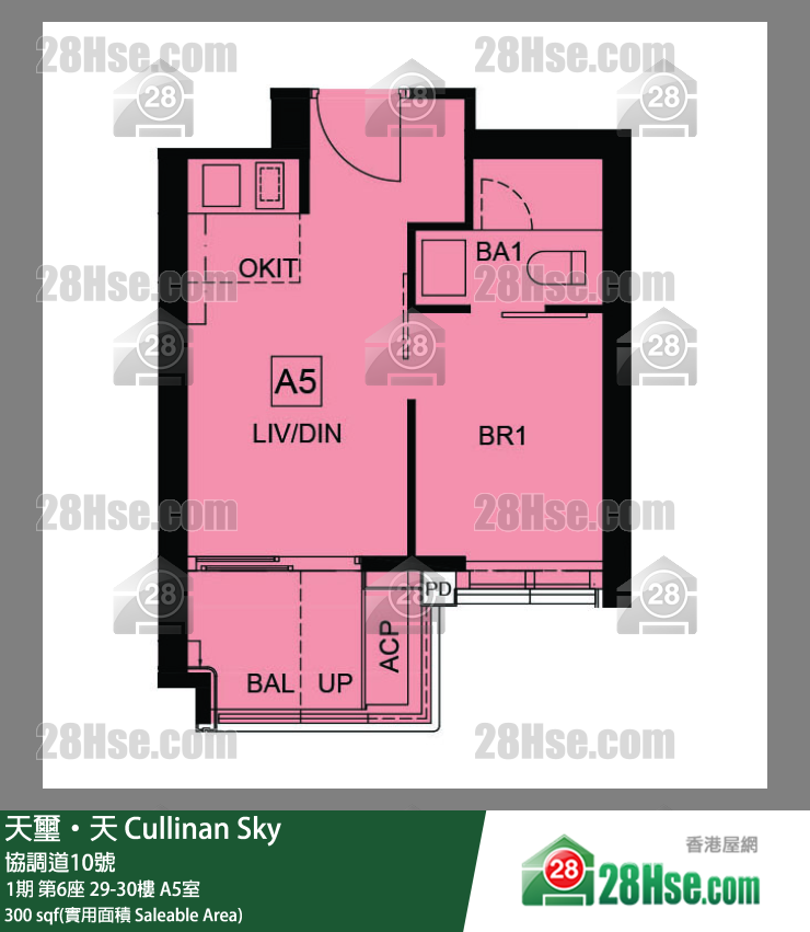 天璽天 1期 第6座 30樓 A5室 平面圖