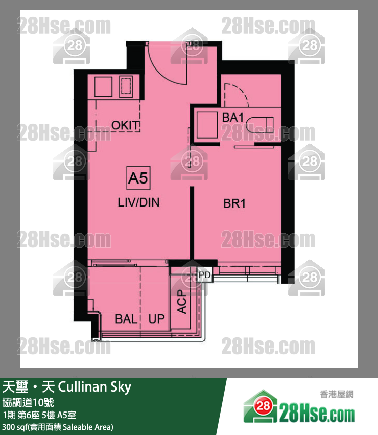 天璽天 1期 第6座 5樓 A5室 平面圖