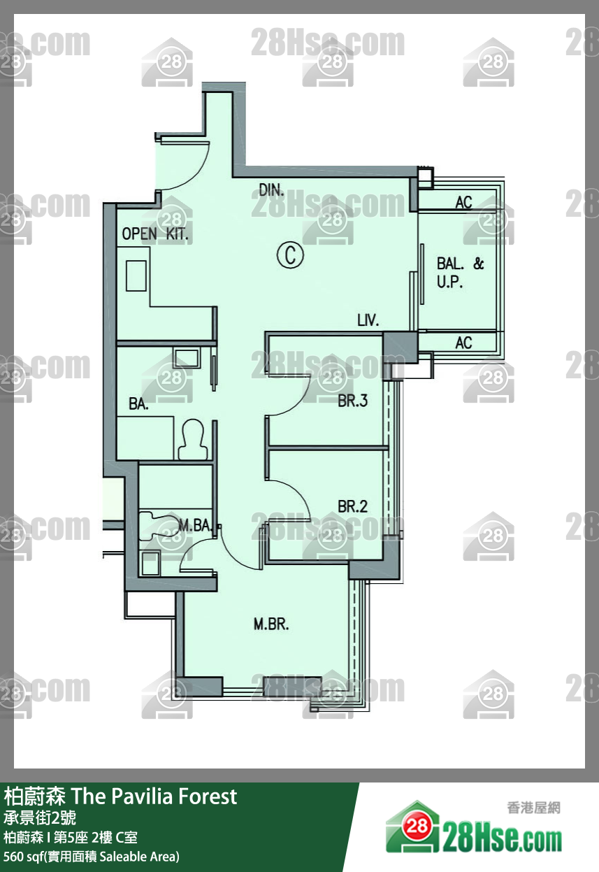 柏蔚森 单位平面图(由 28Hse 提供)